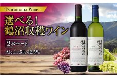 選べる！ 鶴沼収穫ワイン 2本セット 750ml×2本 計1500ml アルコール11.5％-12.5％ お酒 酒 ワイン 赤 白 オレンジワイン 北海道 浦臼町
