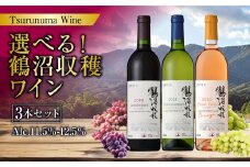 選べる！鶴沼収穫ワイン 3本セット 750ml×3本 計2250ml アルコール 11.5％-12.5％ お酒 酒 ワイン 白 白ワイン 赤 赤ワイン オレンジワイン 北海道 浦臼町