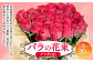 バラの花束 アマダ（赤）（20‐30本）