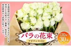 バラの花束 アドバンス（白）（20‐30本）| 花 バラ 薔薇 ローズ 生花 花束 ブーケ 白 贈り物 プレゼント ギフト【2025年5月下旬～11月下旬まで発送予定】