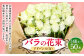 バラの花束 アドバンス（白）（40‐50本）
