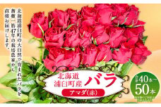 バラ アマダ（赤）（40‐50本）| 花 薔薇 ローズ 生花 赤 贈り物 プレゼント ギフト【2025年5月下旬～11月下旬まで発送予定】