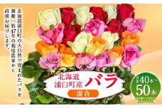 バラ 混合（40‐50本）| 花 バラ 薔薇 生花 ローズ 贈り物 プレゼント ギフト【2025年5月下旬～11月下旬まで発送予定】
