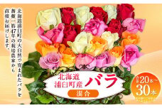 バラ 混合（20‐30本）| 花 バラ 薔薇 生花 ローズ 贈り物 プレゼント ギフト【2025年5月下旬～11月下旬まで発送予定】
