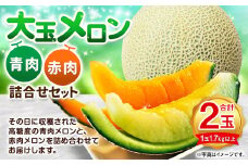 大玉 メロン 青肉 赤肉 各1玉 詰合せセット （1玉 1.7kg以上） 果物 フルーツ めろん 2玉 食べ比べ 北海道 浦臼町 【2025年7月上旬～2025年8月上旬迄発送予定】