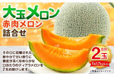 大玉 赤肉 メロン 2玉 詰め合わせ （1玉 1.7kg以上）果物 フルーツ めろん 赤肉メロン 北海道 浦臼町 【2025年7月上旬～2025年8月上旬迄発送予定】