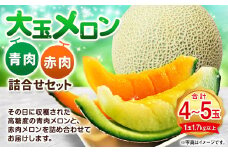 大玉 メロン 青肉 赤肉 4～5玉 詰合せ セット （1玉 1.7kg以上）  果物 フルーツ めろん 4玉 5玉 食べ比べ 北海道 浦臼町 【2025年7月上旬～2025年8月上旬迄発送予定】