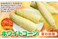 ホワイトコーン （雪の妖精） M・Lサイズ 12～15本入り