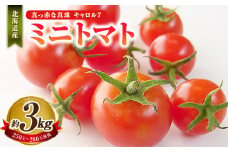 ミニトマト 約3kg 野菜 トマト キャロルセブン とまと 高糖度 浦臼産 北海道産 国産 3kg 北海道 浦臼町 【2025年7月下旬～9月上旬発送予定】