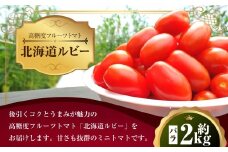 ミニトマト「北海道ルビー」約2kg バラ 野菜 高糖度 北海道 浦臼町 【2025年11月下旬迄発送】