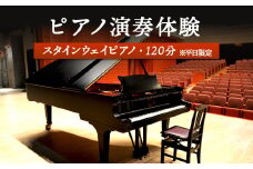 スタインウェイピアノ 試弾券 120分 平日限定 ｜ オンライン 申請 ふるさと納税 北海道 新十津川 ピアノ スタンウェイピアノ ピアノ試弾券 体験 ピアノ体験 ピアノ弾き放題 新十津川町【2100101】