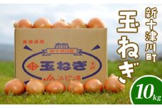 先行受付 北海道 玉ねぎ Lサイズ 10kg ｜ オンライン 申請 ふるさと納税 北海道 新十津川 北海道産 たまねぎ タマネギ 玉葱 L 大容量　箱 新鮮 甘い 高品質 野菜 やさい サラダ 新十津川町【1200101】