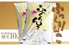 《先行受付》 【令和7年度産】 ふっくりんこ 精米 10kg ｜ オンライン 申請 ふるさと納税 北海道 新十津川 北海道産 米 ブランド ブランド米 お米 北海道米 道産米 道産 ご飯 ごはん 美味しい ギフト  贈り物 プレゼント お取り寄せ 新十津川町【1101604】