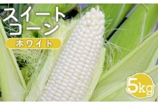 【先行受付】 スイートコーン ホワイト 5kg ｜ オンライン 申請 ふるさと納税 北海道 新十津川 北海道産 とうもろこし トウモロコシ コーン 甘い 2L 大きい フルーツコーン 生 生で食べられる 生食 野菜 やさい 新鮮 大容量 新十津川町【1201901】