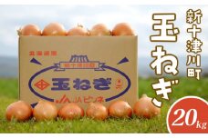 先行受付 玉ねぎ Lサイズ 20kg ｜ オンライン 申請 ふるさと納税 北海道 新十津川 北海道産 たまねぎ タマネギ 玉葱 L 大容量　箱 新鮮 甘い 高品質 野菜 やさい サラダ 新十津川町【1200201】