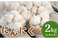 先行受付 にんにく 2kg （Lサイズ） ｜ オンライン 申請 ふるさと納税 北海道 新十津川 北海道産 ニンニク L 大サイズ 訳あり 訳あり品 規格外品 大容量 肉厚 野菜 やさい スタミナ スタミナ野菜 新十津川町【1200401】