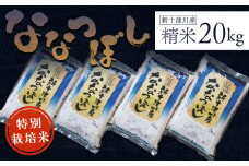 先行受付 令和7年 ななつぼし 特別栽培米 20kg ｜ オンライン 申請 ふるさと納税 北海道 新十津川 北海道産 米 ブランド ブランド米 お米 北海道米 道産米 道産 ご飯 美味しい 大容量 ギフト  贈り物 お取り寄せ 新十津川町【1100604】