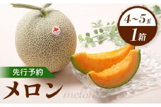 【先行予約】 赤肉メロン1箱（4～5玉） 【令和7年7月～8月上旬発送】 ｜ 先行予約 メロン 北海道 赤玉 セット オンライン申請 オンライン ワンストップ マイページ デザート 果物 フルーツ 赤肉メロン 赤肉 ふるさと納税 北海道 新十津川 新十津川町【1201801】