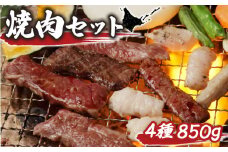 大畠精肉店 の 焼肉セット（計4種×850g） ｜ オンライン 申請 ふるさと納税 北海道 新十津川 焼肉セット 焼き肉セット カルビ サガリ タン ホルモン 食べ比べ 食べ比べセット 焼き肉 BBQ バーベキュー 冷凍 キャンプ アウトドア お取り寄せ 取り寄せ 新十津川町【1300901】