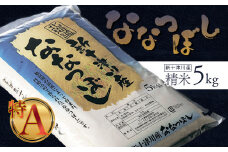 《先行受付》 【令和7年度産】ななつぼし 精米 5kg ｜ オンライン 申請 ふるさと納税 北海道 新十津川 北海道産 米 ブランド ブランド米 お米 北海道米 道産米 道産 ご飯 美味しい ギフト  贈り物 プレゼント お取り寄せ 新十津川町 日本穀物検定協会 食味ランキング 特Ａ【1100304】