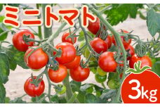 【先行受付】 ミニトマト ３kg ｜ オンライン 申請 ふるさと納税 北海道 新十津川 北海道産 ミニ トマト 甘い 濃厚 美味しい キャロル7 野菜 やさい 大容量 新十津川町【1200601】