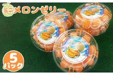 先行受付 ミニメロンゼリー 5パック（各18個入） ｜ オンライン 申請 ふるさと納税 北海道 新十津川 北海道産 メロンゼリー ゼリー メロン 赤肉メロン 赤肉 ひとくちゼリー 子供 こども スイーツ シャーベット お菓子 洋菓子 ギフト 贈り物 新十津川町【1201001】