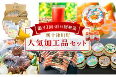 【定期便：全６回】加工品の定期便２【1202901】