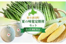 【新十津川町】夏の味覚定期便セット | ふるさと納税 北海道 新十津川 グリーンアスパラ　アスパラ 赤肉メロン メロン スイートコーン コーン 野菜 果物 定期　定期便 お取り寄せ ワンストップ マイページ 新十津川総合振興公社 新十津川町【1203001】