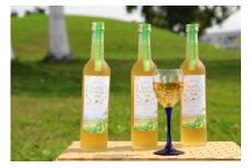 もせうしアップルミントのお酒【葉舞な里から】3本セット J001