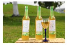 もせうしアップルミントのお酒【葉舞な里から】3本セット J001