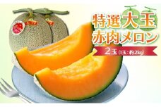 特選大玉赤肉メロン【2玉入り】【先行予約令和7年7月末発送】 K001
