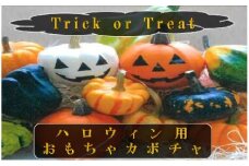 ハロウィン用おもちゃかぼちゃ
