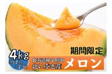 令和7年産 赤肉メロン2玉