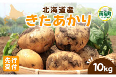 【令和7年産先行受付】北海道産 じゃがいも 「きたあかり」 S～LLサイズ10kg《9月より発送》