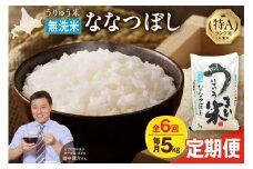 【定期便全6回】【新米予約】 うりゅう米 ななつぼし 無洗米 5kg（5kg×1袋）毎月1回お届け 令和7年産 お米 米 ごはん ご飯 6ヶ月 連続お届け 定期便 特A 単一原料米 お弁当 国産 人気 おすすめ kome 雨竜町