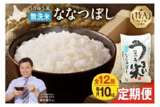 【定期便全12回】【新米予約】 うりゅう米 ななつぼし 無洗米 10kg（5kg×2袋）毎月1回お届け 令和7年産 お米 米 ごはん ご飯 12ヶ月 連続お届け 定期便 特A 単一原料米 お弁当 国産 人気 おすすめ kome 雨竜町