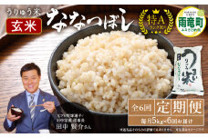 【定期便全6回】令和6年産 うりゅう米 ななつぼし 玄米5kg（5kg×1袋）毎月1回お届け お米 米 ごはん ご飯 6ヶ月 連続お届け 定期便 特A 単一原料米 お弁当 国産 人気 おすすめ kome 雨竜町