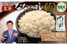 【定期便全12回】令和6年産 うりゅう米 ななつぼし 玄米 5kg（5kg×1袋）毎月1回お届け お米 米 ごはん ご飯 12ヶ月 連続お届け 定期便 特A  単一原料米 お弁当 国産 人気 おすすめ kome 雨竜町