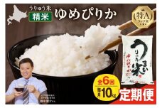 【定期便全6回】【新米予約】うりゅう米 ゆめぴりか 10kg（5kg×2袋）毎月1回お届け 令和7年産 お米 米 ごはん ご飯 6ヶ月 連続お届け 定期便 特A 単一原料米 お弁当 国産 人気 おすすめ kome 雨竜町