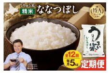 【定期便全12回】【新米予約】 うりゅう米 ななつぼし 5kg（5kg×1袋）毎月1回お届け 令和7年産 お米 米 ごはん ご飯 12ヶ月 連続お届け 定期便 特A 単一原料米 お弁当 国産 人気 おすすめ kome 雨竜町