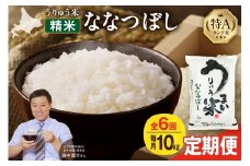 【定期便全6回】【新米予約】 うりゅう米 ななつぼし 10kg（5kg×2袋）毎月1回お届け 令和7年産 お米 米 ごはん ご飯 6ヶ月 連続お届け 定期便 特A 単一原料米 お弁当 国産 人気 おすすめ kome 雨竜町