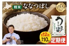【定期便全12回】【新米予約】 うりゅう米 ななつぼし 10kg（5kg×2袋）毎月1回お届け 令和7年産 お米 米 ごはん ご飯 12ヶ月 連続お届け 定期便 特A 単一原料米 お弁当 国産 人気 おすすめ kome 雨竜町