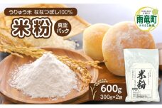 北海道 雨竜町産 うりゅう米 ななつぼし 米粉 600g（300g×2袋）