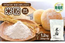 北海道 雨竜町産 うりゅう米 ななつぼし 米粉 1.2kg（300g×4袋）