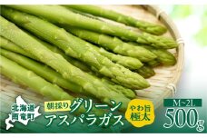 【先行受付】令和7年産 朝採りグリーンアスパラ   500g＜ 川越農場 ＞野菜 春 夏 北海道アスパラ 雨竜町産 パスタ サラダ スープ 旬 やわ旨