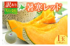 【令和7年産先行予約】【訳あり】北海道メロン 暑寒レッド 1玉 (1.6kg以上×1箱)《2025年9月より発送予定》ワケあり 家庭用 赤肉メロン わけあり 規格外 傷 不揃い くだもの フルーツ メロン めろん 9月 北海道 雨竜町