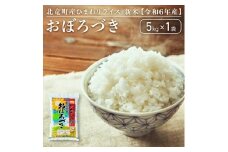 【令和6年産 順次発送】おぼろづき 5kg 低農薬米 北海道 北竜町産 【0601-R6】