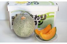 【令和7年産 先行予約】北海道北竜町産ひまわりメロン（赤肉）２玉×1箱【国産メロン 北海道産 メロン めろん 果物 くだもの フルーツ デザート】