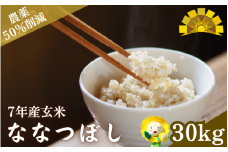 玄米 ななつぼし / ごはん こめ 米 お米 北海道 北海道米 【kja400-nana-g30-R7】
