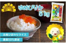 白米 ゆめぴりか 5kg 新米 予約 / ごはん こめ 米 お米 北海道 北海道米 ※10月～順次発送 【sun400-yume-r5】
